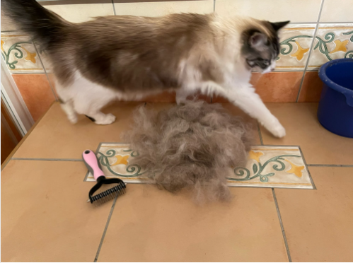 Колтуноріз для видалення підшерстя вовни Single Side Pet Hair Knots Dematting Comb для собак та котів 9615 1100 00 M pink фото