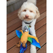 Мягкая игрушка для собак Molly Macaw Rope Squeaker Macaw фото 4