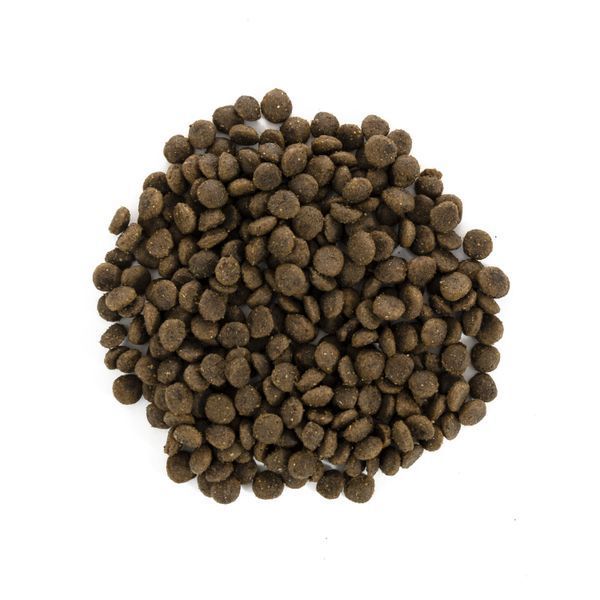 Сухой корм Brit Care GF Mini Puppy для щенков миниатюрных пород, с ягненком, 2 кг 170773/0138 фото