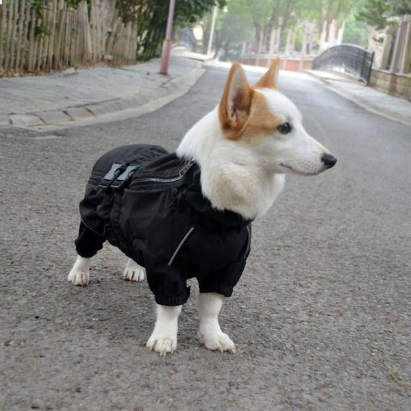 Комбінезон-дощовик для собак Derby Dog Suit Black DS4201000090-01 фото