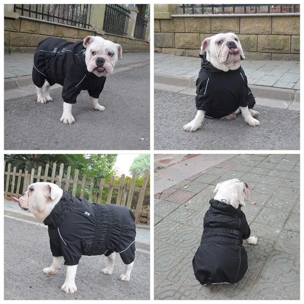 Комбінезон-дощовик для собак Derby Dog Suit Black DS4201000090-01 фото