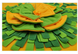 Коврик для нюханья для собак Derby Pet Shuffle Mat orange HB2404 фото 4