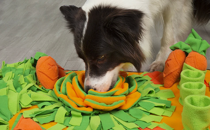 Коврик для нюханья для собак Derby Pet Shuffle Mat orange HB2404 фото