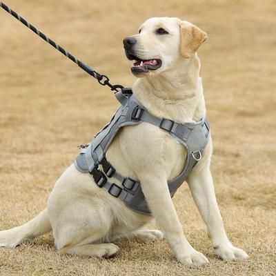 Нейлоновый тактический жилет для собак Nylon Heavy Duty Dog Tactical Vest Grey HK-HP-66-M фото