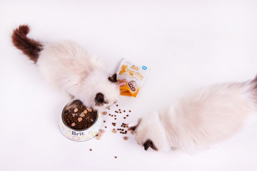 Ласощі для котів Brit Raw Treat Hair & Skin Freeze-dried з рибою та індичкою, 40 г BC_112190 фото