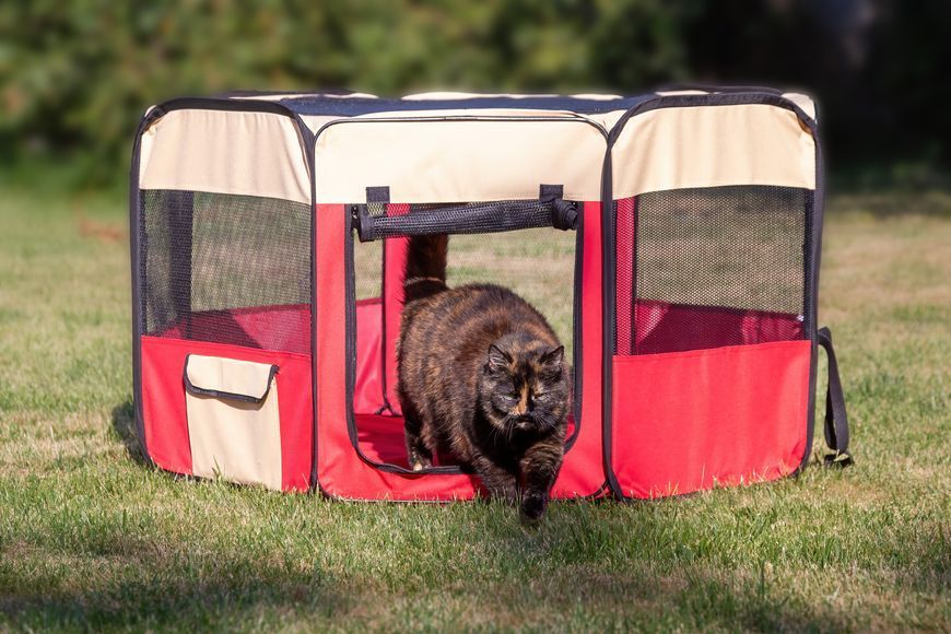 Вольєр-манеж для цуценят SENFUL Foldable Pet Play Pen, червоний з бежевим SDT3025_6 фото