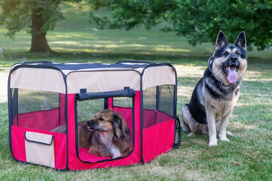 Вольєр-манеж для цуценят SENFUL Foldable Pet Play Pen, червоний з бежевим SDT3025_6 фото