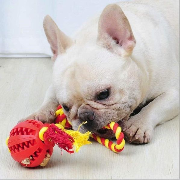 Игрушка для собак Derby Rubber Dog Chew Toy with Rope PT0200-4-S-red фото