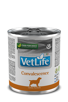 Влажный лечебный корм для собак Farmina Vet Life Convalescence диет. питание, для восстановления питания и выздоровления, 300 г 166136 фото