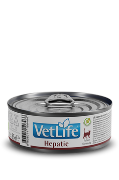 Влажный корм для котов Farmina Vet Life Hepatic при хронической печеночной недостаточности, 85 г 179456 фото