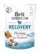 Функциональные лакомства для собак Brit Care Functional Snack Recovery Herring с сельдью, 150 г BC_111426 фото 1