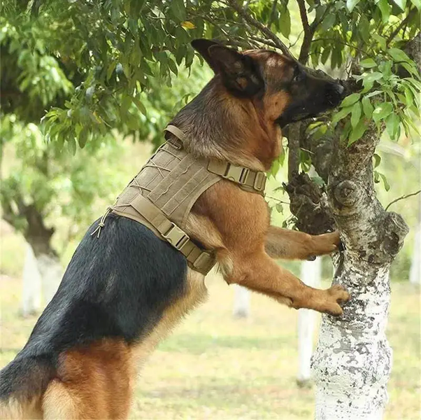 Нейлоновая тактическая шлея для собак Derby Nylon Tactical Dog Harness HK-HP-43-1 фото