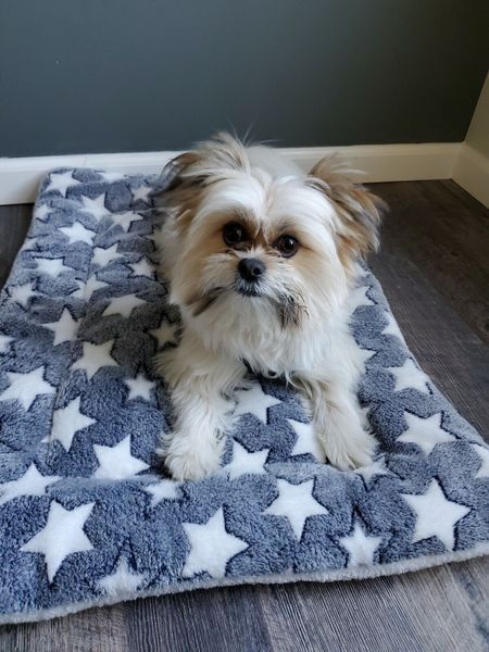 Плед для домашніх тварин Soft Pet Bed Cushion 9406 9090 00 4-5 фото