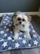 Плед для домашніх тварин Soft Pet Bed Cushion 9406 9090 00 4-5 фото 7