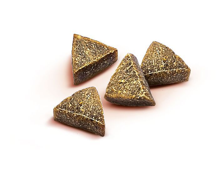 Функціональні ласощі для собак Brit Care Functional Snack Antiparasitic Salmon з лососем, 150 г BC_111425 фото