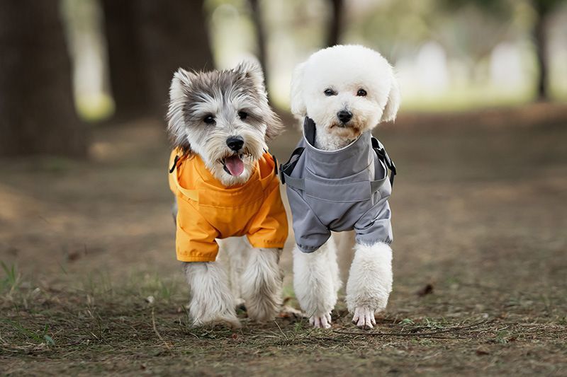 Світловідбивний дощовик для собак VPETER R58 Grey R58-S-grey фото
