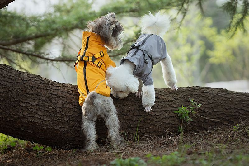 Світловідбивний дощовик для собак VPETER R58 Grey R58-S-grey фото