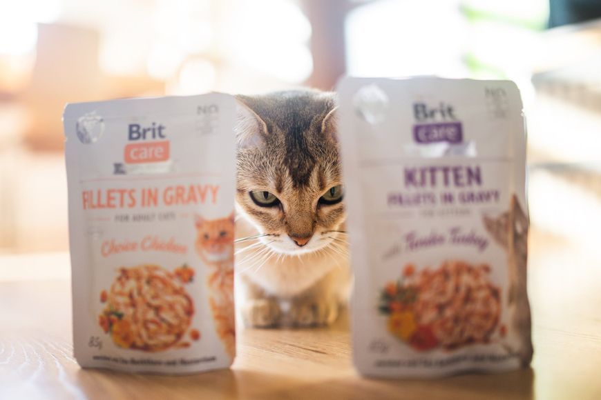 Влажный корм для котят Brit Care Kitten Fillets in Gravy Tender Turkey филе в соусе индейка, 85 г BC_101052 фото