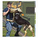 Рукав для дресирування собак Derby Dog Training Bite Sleeve DT0042 фото 3