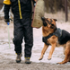 Рукав для дресирування собак Derby Dog Training Bite Sleeve DT0042 фото 2