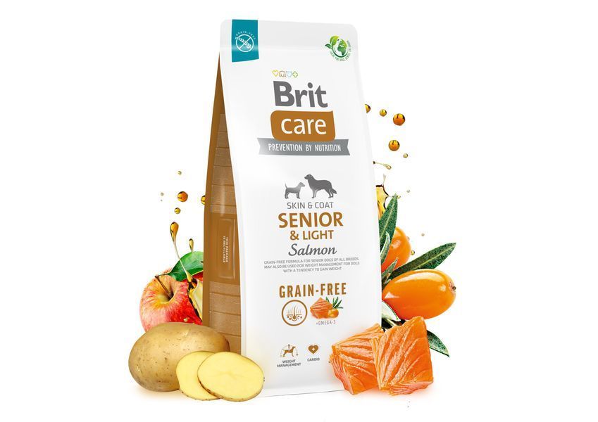 Сухий корм Brit Care Dog Grain-free Senior & Light для старіючих собак, беззерновий з лососем, 1 кг BC_172205 фото