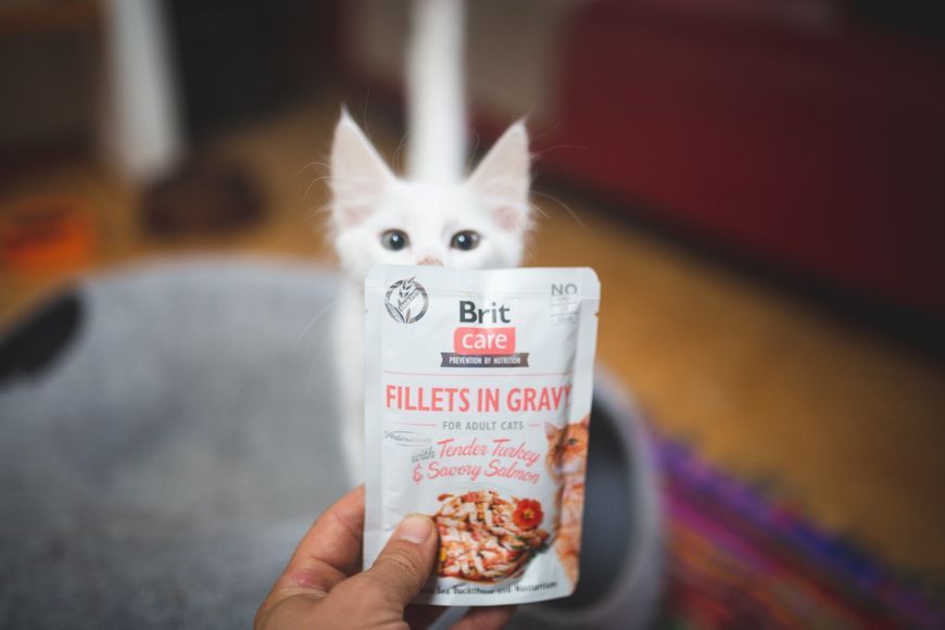 Влажный корм Brit Care Cat Pouch для кошек, филе в соусе, нежная индейка и пикантный лосось, 85 г 100528/0501 фото