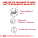 Замінник молока Royal Canin BabyCat Milk для кошенят 2553001 фото 4