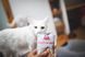 Влажный корм Brit Care Cat Pouch для кошек, филе в соусе, пикантный лосось, 85 г 100530/0525 фото 3