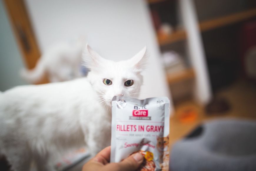 Влажный корм Brit Care Cat Pouch для кошек, филе в соусе, пикантный лосось, 85 г 100530/0525 фото