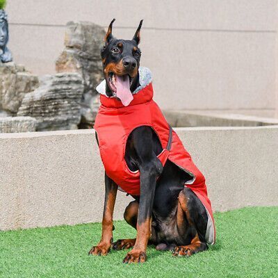 Зимове пальто з флісовим коміром Derby Red HK-PC-123r-XL фото