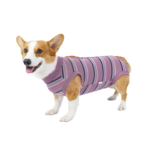 Боди, пижама или послеоперационная попона для собак Derby Lilac Stripe PP-020 S фото