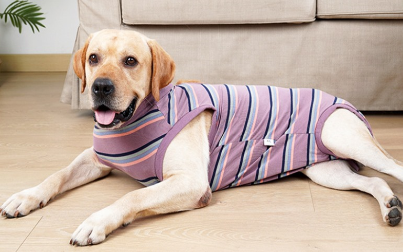 Боди, пижама или послеоперационная попона для собак Derby Lilac Stripe PP-020 S фото