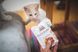 Влажный корм Brit Care Cat Pouch для кошек, филе в соусе, утка, 85 г 100529/0518 фото 3