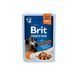 Корм вологий Brit Premium Delicate Fillets in Gravy Turkey для котів філе в соусі індичка 85 г BP_101131 фото 1