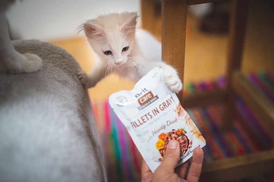 Влажный корм Brit Care Cat Pouch для кошек, филе в соусе, утка, 85 г 100529/0518 фото