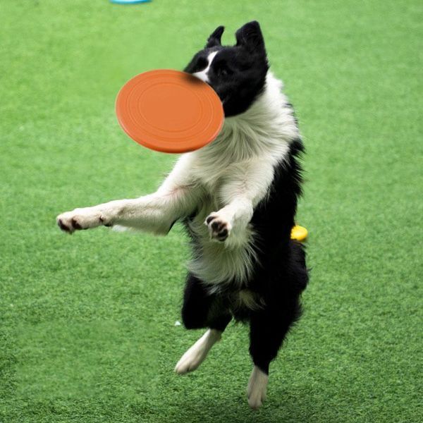 Силіконова літаюча тарілка-фризбі для собак Soft Silicone Dog Flying Disc, 1 шт. fp00010 фото