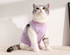 Одяг для котів після операції Holley Purple HLPC-0197Av-L фото 2