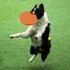 Силіконова літаюча тарілка-фризбі для собак Soft Silicone Dog Flying Disc, 1 шт. fp00010 фото 4