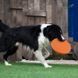 Силіконова літаюча тарілка-фризбі для собак Soft Silicone Dog Flying Disc, 1 шт. fp00010 фото 3