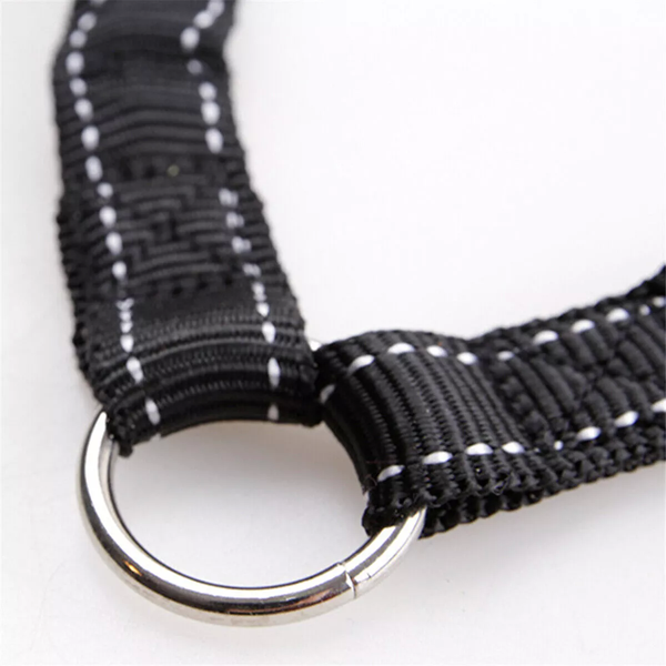 Повідець для 2-х собак Derby Dog Double Leash 195987689910 фото