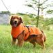 Світловідбивне тепле пальто для собак Derby DJ64 Orange DJ64-S-orange фото 4