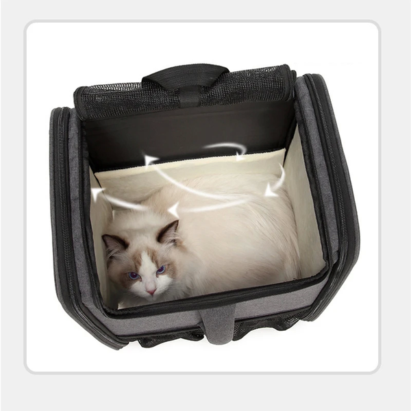 Сумка-рюкзак для домашніх тварин Voyager Pet LVT24013 LVT24013-2 фото