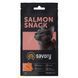 Хрустящие лакомства Savory Snack Подушечки для прихотливых кошек, с лососем, 60 г Savory_31454 фото 4