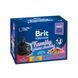 Набор влажных кормов Brit Premium Cat Pouch &laquo;Семейная тарелка&raquo; для кошек, ассорти из 4 вкусов, 12 шт х 100 г 100278 /506255 фото 1