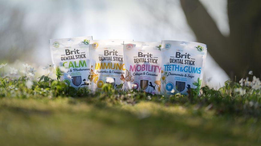 Ласощі для собак Brit Dental Stick Mobility для мобільності суглобів, колаген та куркума, 7 шт, 251 г BC_112103 фото