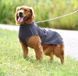 Світловідбивне тепле пальто для собак Derby DJ64 Grey DJ64-S-grey фото 1