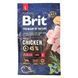 Сухий корм Brit Premium Dog Junior L для цуценят та юніорів великих порід, з куркою, 3 кг 170823/6420 фото 3