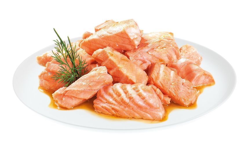 Корм влажный Brit Premium Delicate Fillets in Gravy Salmon для стерилизованных кошек филе в соусе лосось 85 г BP_101141 фото