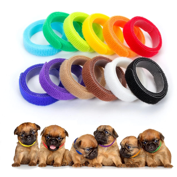 Комплект нашийників для цуценят і кошенят id Collars for Puppies, 12 шт. 6307 9090 00-S фото