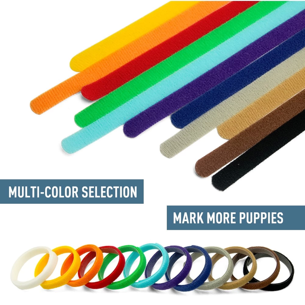 Комплект нашийників для цуценят і кошенят id Collars for Puppies, 12 шт. 6307 9090 00-S фото